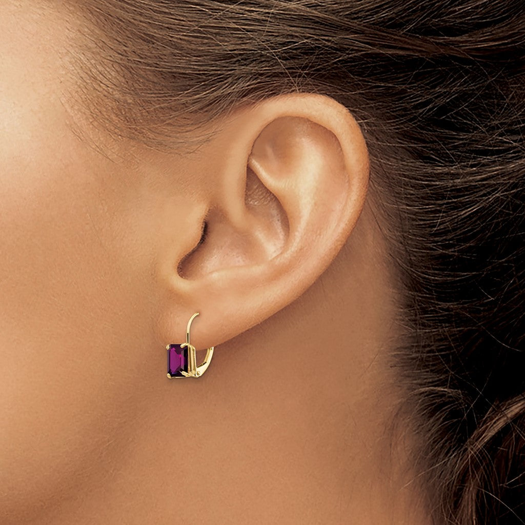 14K Yellow Gold Natural Amethyst Leverback Earrings